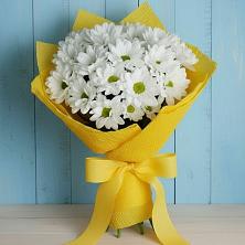 Букет цветов из:  Хризантемы в Глубоком